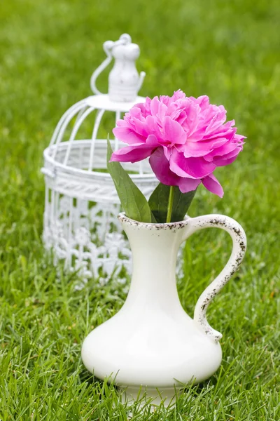 Singolo fiore di peonia rosa in vaso di ceramica bianca su verde fresco — Foto Stock