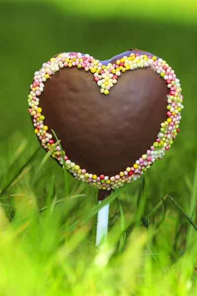 Schokoladenkuchen in Herzform, aufwendig dekoriert — Stockfoto