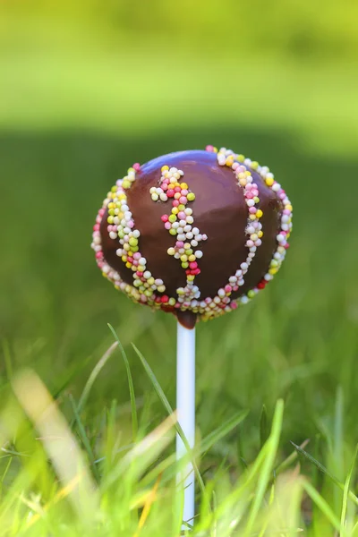 Bolo de chocolate aparece ricamente decorado com polvilhas coloridas — Fotografia de Stock