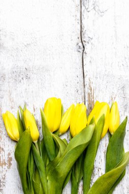 ahşap zemin üzerine Sarı laleler