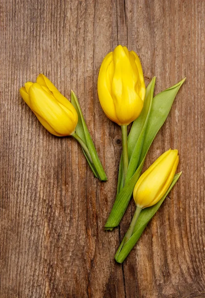 Yellow tulips on wooden background — Stock Photo, Image