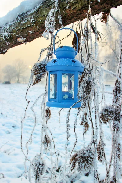 Blauwe lantaarn in de winter landschap — Stockfoto