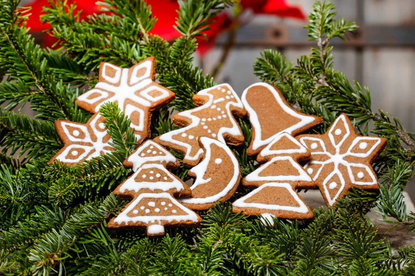 Gingerbread cookies on fir branches, christmas decoration — Stock Photo, Image
