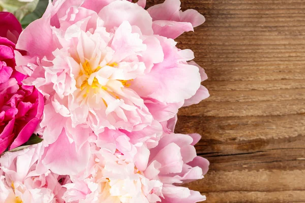 Stunning peonies on wooden background. Copy space. — Stock Photo, Image