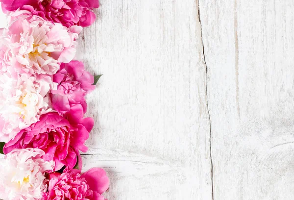 Stunning peonies on wooden background. Copy space. — Stock Photo, Image
