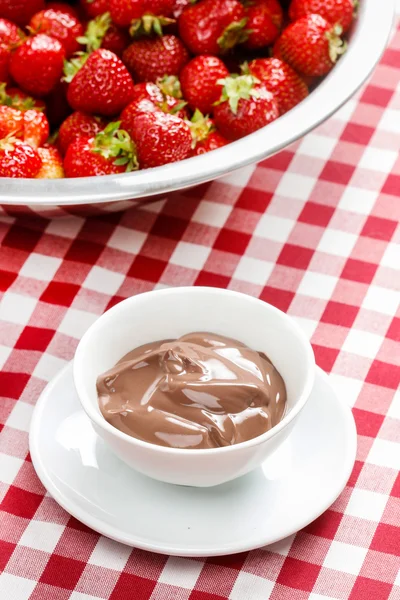 Creamy chocolate pudding on checkered red and white table cloth. — Stock Photo, Image