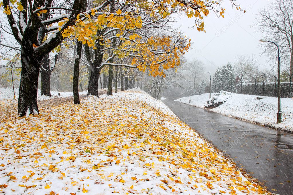 Blizzard in the city. Heavy snowstorm in Europe.