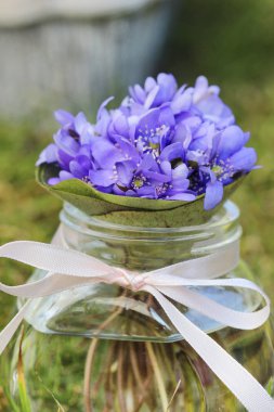 hepatica bloemen, vrij klein boeket liggend op fris groen gras