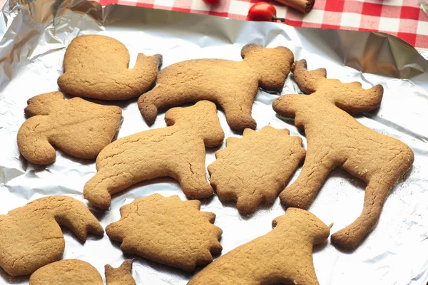 Gingerbread cookies straight from an oven — Stock Photo, Image