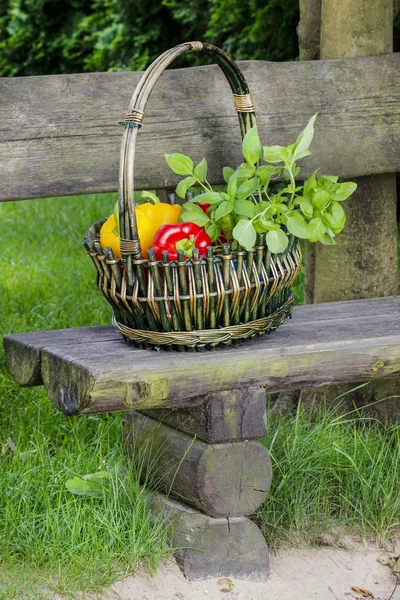 Cesto di frutta e verdura su panca in legno in giardino — Foto Stock