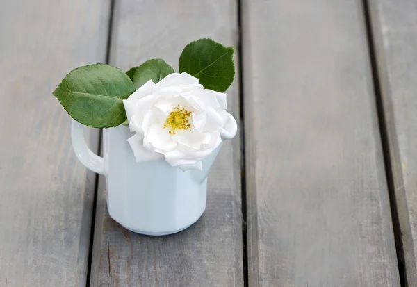 Rosa in brocca bianca su tavolo di legno. Copia spazio — Foto Stock