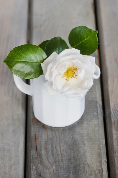 Rose in witte kruik op houten tafel. kopie ruimte — Stockfoto