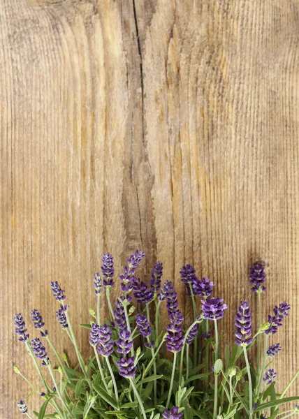 Lavender on wooden background. Copy space