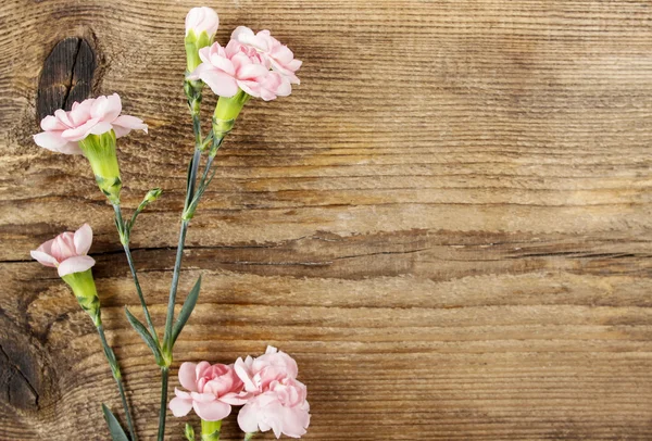 Clavel rosa aislado sobre fondo de madera — Foto de Stock