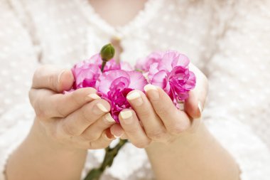 güzel elinde pembe bir karanfil. mükemmel tırnaklar, Fransız manicur
