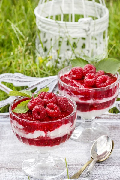 Raspberry dessert — Stock Photo, Image