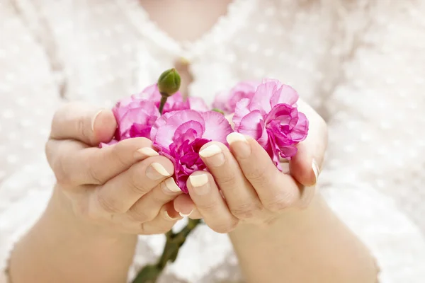 아름 다운 손에 핑크 카네이션입니다. 완벽 한 손톱, 프랑스 manicur — 스톡 사진