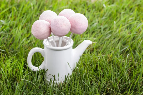 Pink cake pops on grass. Copy space — Stock Photo, Image