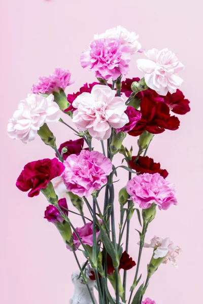 Bouquet of pink carnation flowers on pink background. Copy space — Stock Photo, Image