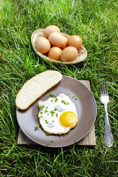 Frühstück auf dem Rasen. Spiegelei auf braunem Teller — Stockfoto