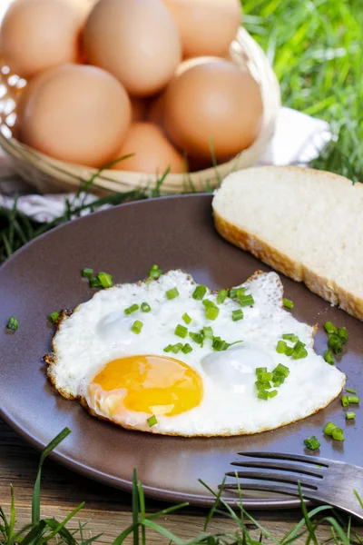 Frukost på gräset. stekt ägg på brun tallrik — Stockfoto