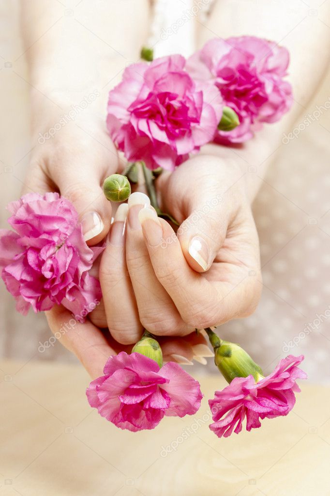 Pink carnation in beautiful hands. Perfect nails, french manicur