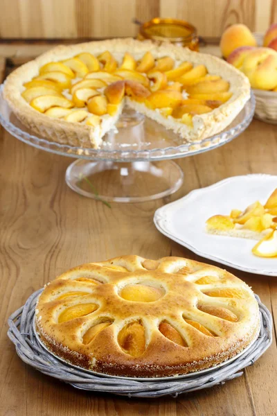 Aprikosenkuchen — Stockfoto