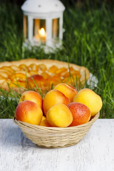 Basket of apricots, summer garden party — Stock Photo, Image