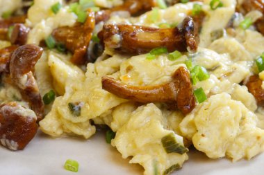 taze Cantharellus cibarius ile geleneksel omlet