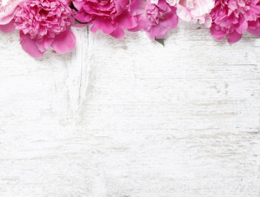 Stunning peonies on wooden background. Copy space clipart