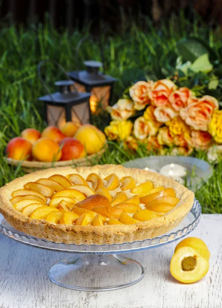 Round apricot cake on cake stand. Garden party, selective focus — Stock Photo, Image