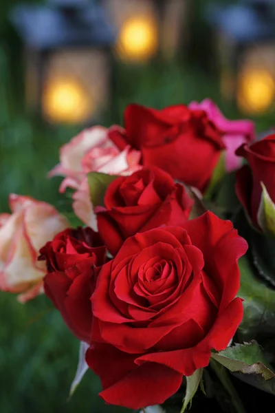 Букет роз, вечеринка в саду, фонари на траве сзади — стоковое фото