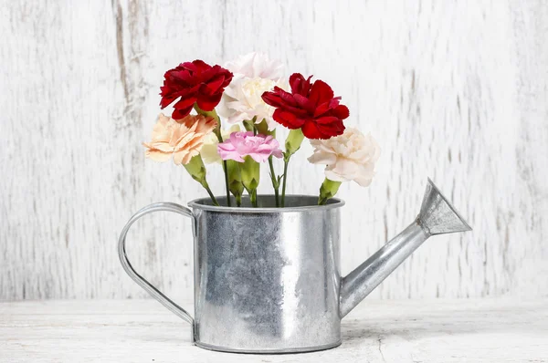 Красивые гвоздичные цветы в банке для полива серебра — стоковое фото