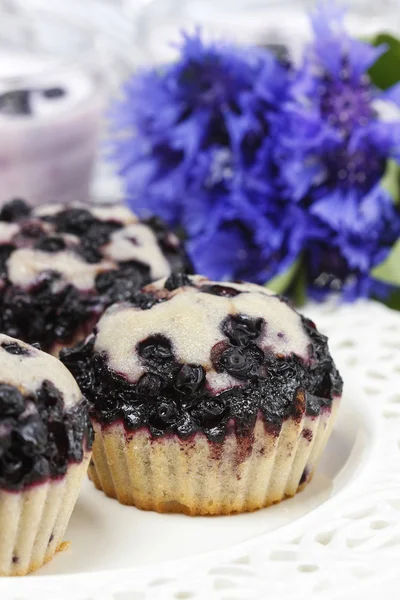 Blueberry muffins. parti tablo — Stok fotoğraf