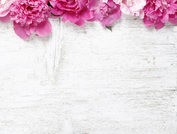 Stunning peonies on wooden background. Copy space — Stock Photo, Image