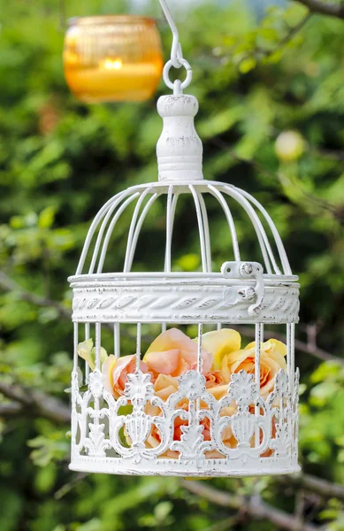 Rosas pasteles en jaula de pájaros vintage blanca colgando de la rama. Jardín —  Fotos de Stock