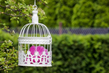 kuş kafesi içinde pembe çiçekli dal yeşil asılı,