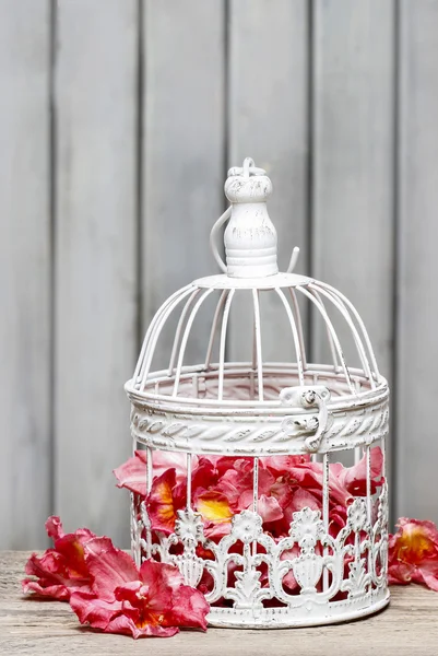 Jaula para pájaros con flores rosadas en el interior sobre fondo rústico de madera . —  Fotos de Stock