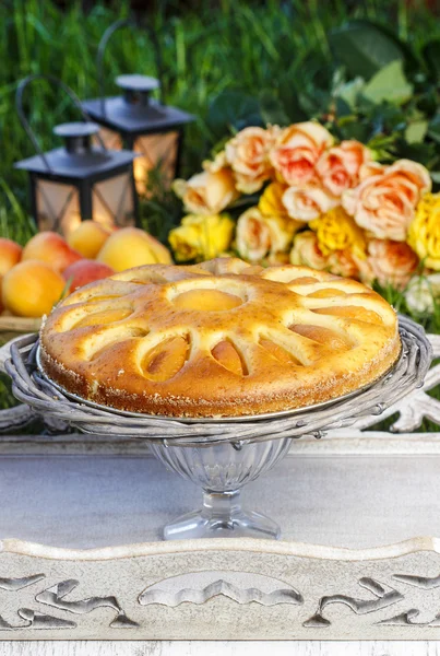 Rund aprikos kaka på kaka stå. trädgårdsfest, selektiv inriktning — Stockfoto