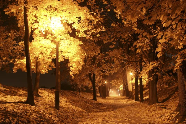 Avenida de outono à noite — Fotografia de Stock