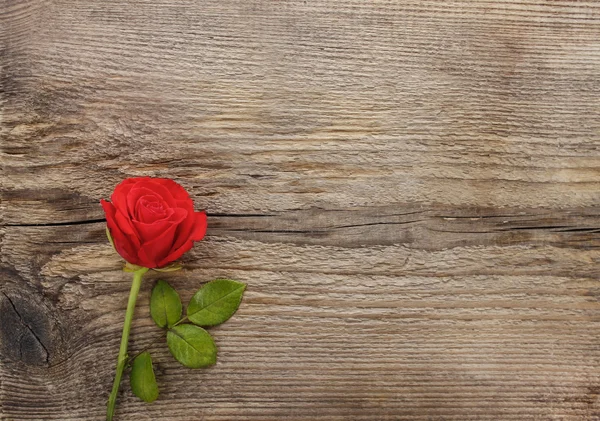 Rosa roja sobre fondo de madera. Tablero en blanco, espacio de copia — Foto de Stock