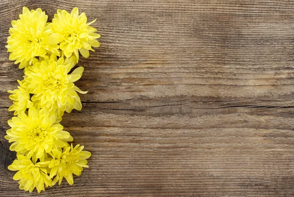 Gele chrysant op houten achtergrond. kopie ruimte — Stockfoto