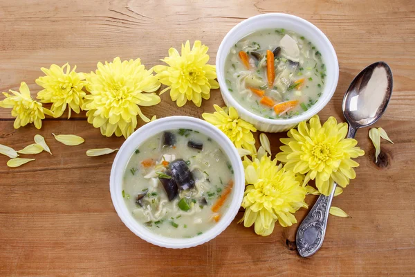 Sup Asia populer dengan ayam dan santan — Stok Foto