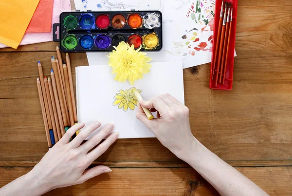 Professional artist painting an chrysanthemum on white paper — Stock Photo, Image