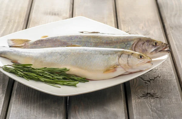 Dos truchas arcoiris crudas y frescas entre las verduras. Idea de saludable — Foto de Stock