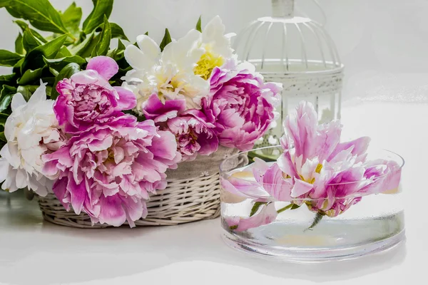 Superbes pivoines dans un panier en osier blanc. Oiseau décoratif vintage — Photo