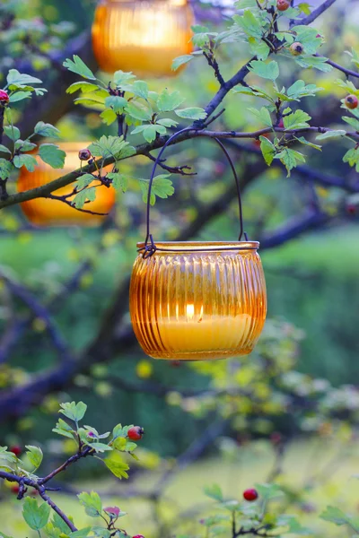 Lanterna laranja pendurada no ramo espinheiro. Decoração de festa de jardim — Fotografia de Stock