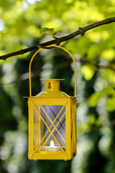 Yellow lantern hanging on branch. Garden party decor — Stock Photo, Image