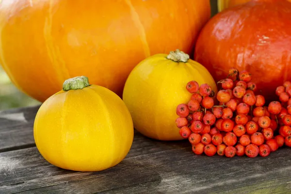 Kleine en grote kleurrijke pompoenen op houten tafel. herfst partij — Stockfoto