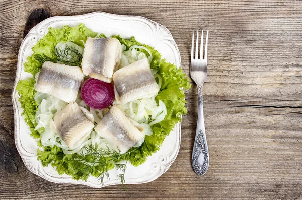 Rotoli di aringa su lattuga fresca . — Foto Stock